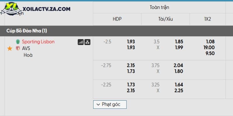 Hồ Sơ WNE-1Z0TVLI: Chờ Nguồn Đối Chiếu