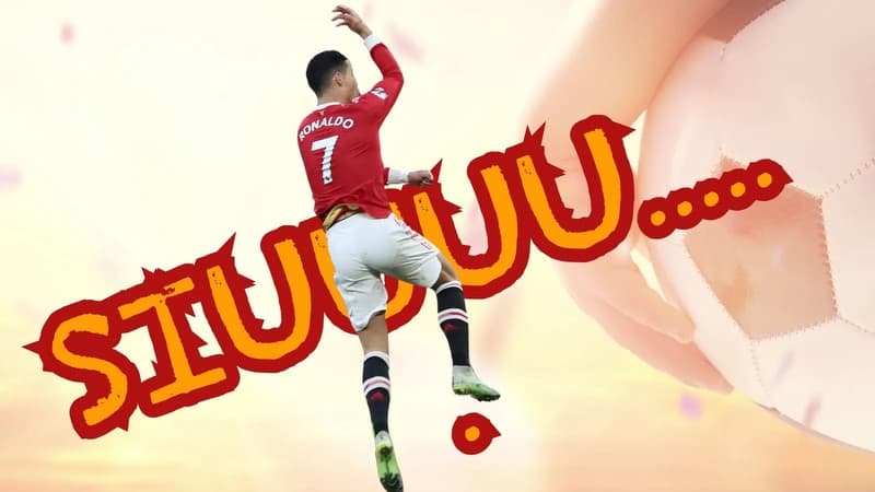 Hồ Sơ SHY-1CP2NA0: Chờ Nguồn Đối Chiếu