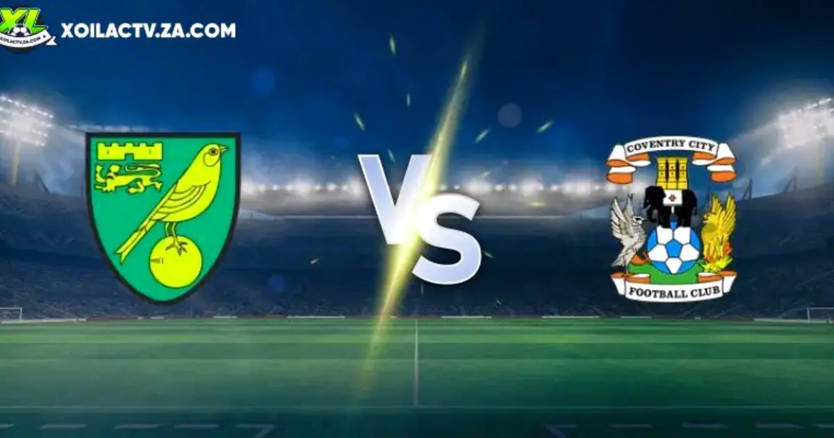 Soi kèo Hà Nội FC vs Nam Định FC: tỷ lệ kèo châu Á và châu Âu